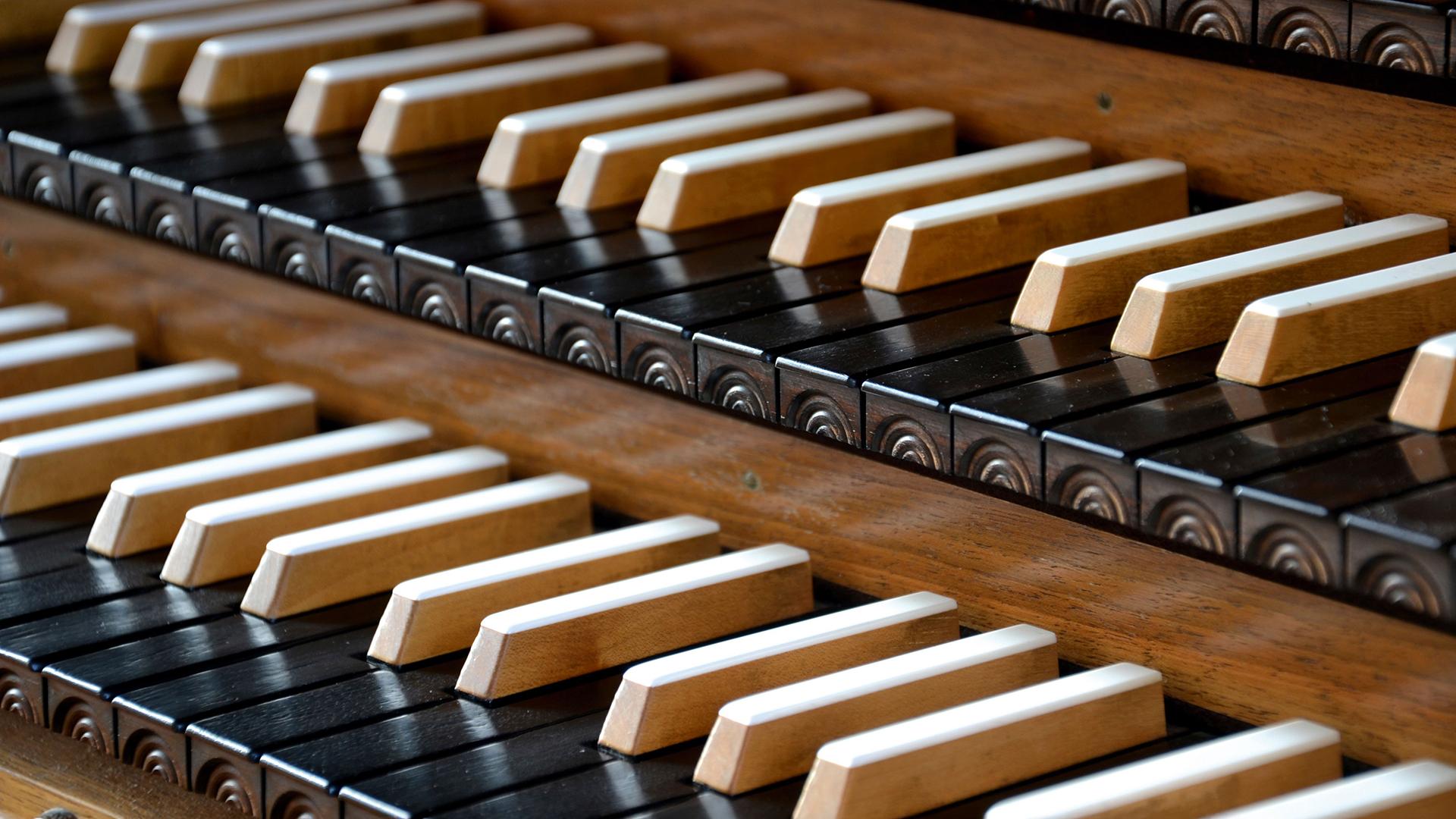 Orgel